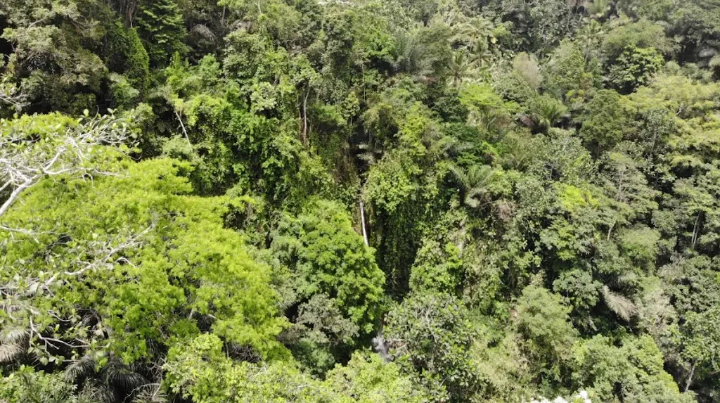 Air Terjun Jagasatru, East Duda, Selat, Karangasem Regency, Bali 80862, Indonesia