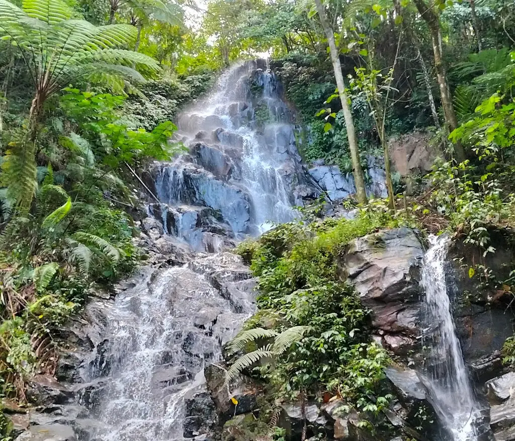 793X+GG9 Air Terjun Sanggar, Area Sawah/Kebun, Jarak, Kec. Wonosalam, Kabupaten Jombang, Jawa Timur 61476, Indonesia