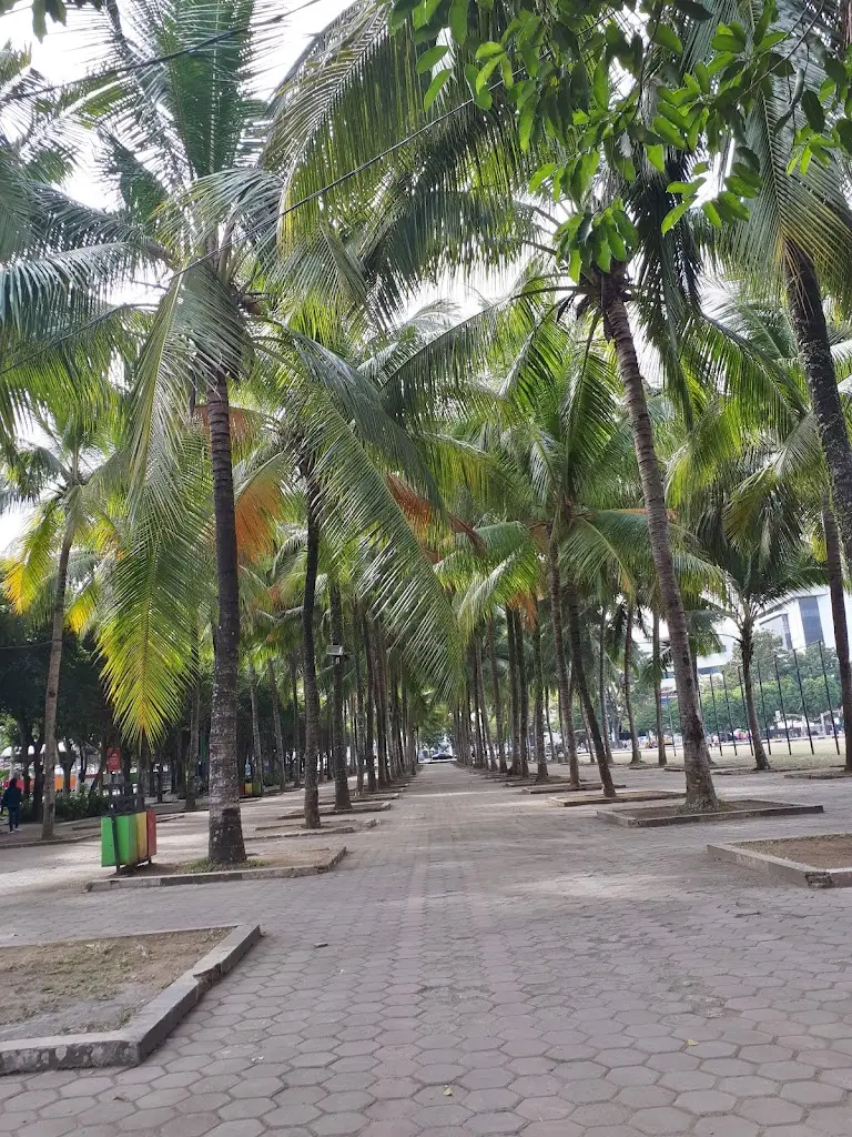 Alun-Alun Jember, Kaliwates, Jl. PB Sudirman, Kp. Using, Jemberlor, Kec. Patrang, Kabupaten Jember, Jawa Timur 68131, Indonesia