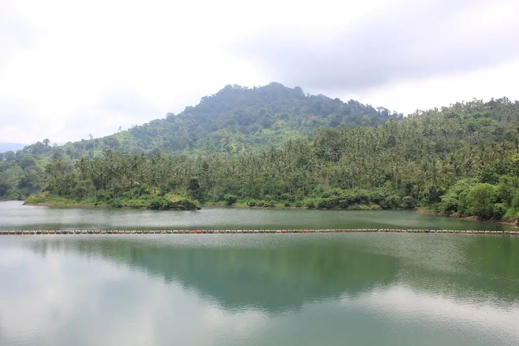 Bendungan Benel, Benel, Berangbang, Kec. Negara, Kabupaten Jembrana, Bali 82218, Indonesia