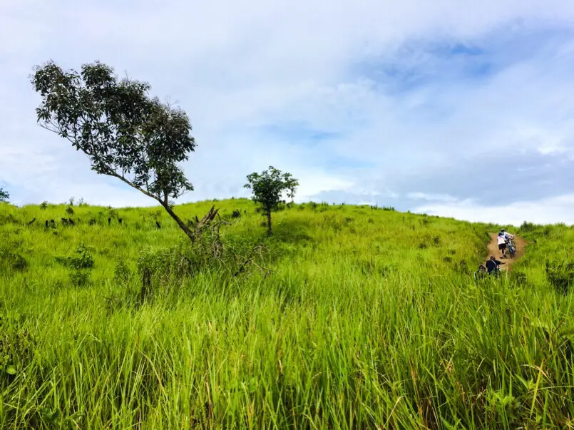 QWJX+V49 Bukit Manggar Lestari (Alpha), Manggar, Kec. Balikpapan Tim., Kota Balikpapan, Kalimantan Timur 76116, Indonesia