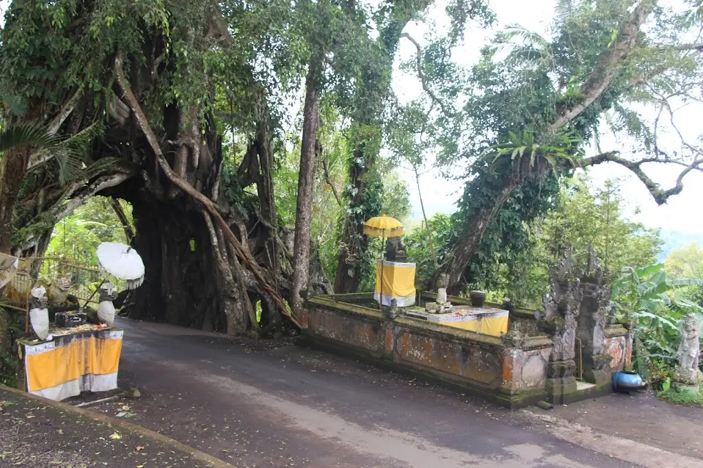 JV7C+7F Bunut Bolong, Desa Manggisari, Manggissari, Kec. Pekutatan, Kabupaten Jembrana, Bali 82262, Indonesia