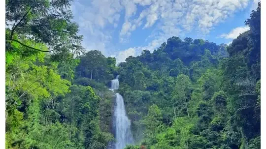 Curug Pletuk, Dukuh Pletuk, Pesangkalan, Kec. Pagedongan, Kab. Banjarnegara, Jawa Tengah 53418, Indonesia