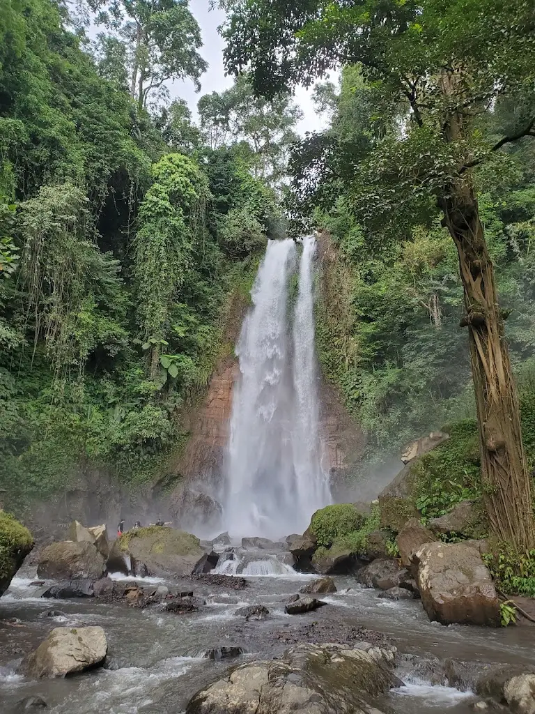 Gitgit Waterfall, Jl. Raya Bedugul - Singaraja, Gitgit, Kec. Sukasada, Kabupaten Buleleng, Bali 81161, Indonesia