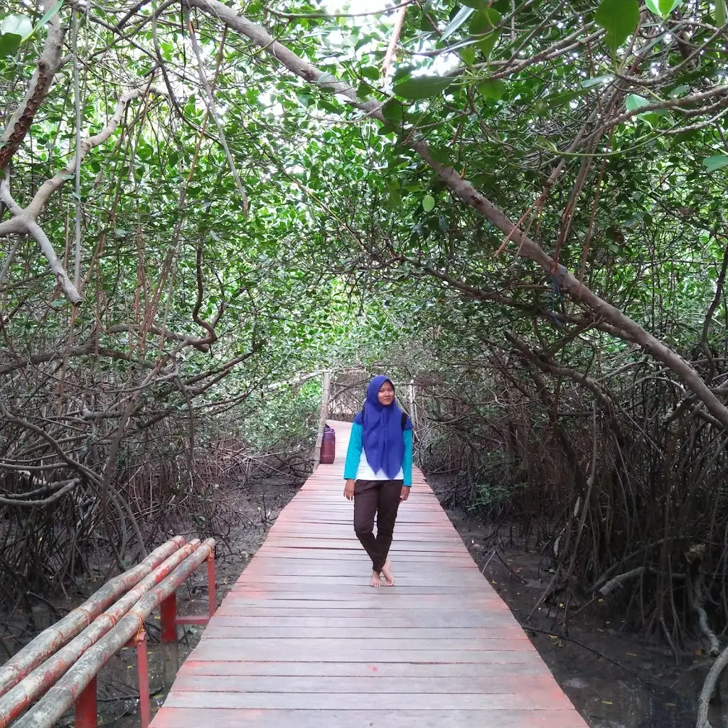 892Q+86P Jembatan Merah Hutan Mangrove, Sawah, Pasarbanggi, Kec. Rembang, Kabupaten Rembang, Jawa Tengah 59219, Indonesia