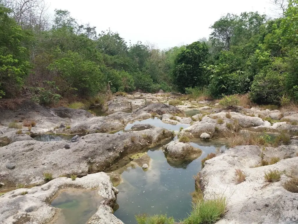 H5Q4+CMR Kedung Sewu, Area Hutan, Perhutani, Kec. Kabuh, Kabupaten Jombang, Jawa Timur 61455, Indonesia