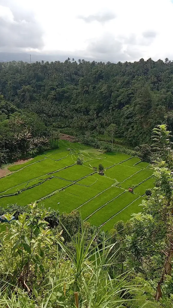 HCM6+WQ3 Lembah Pantunan, Bangbang, Kec. Tembuku, Kabupaten Bangli, Bali 80671, Indonesia