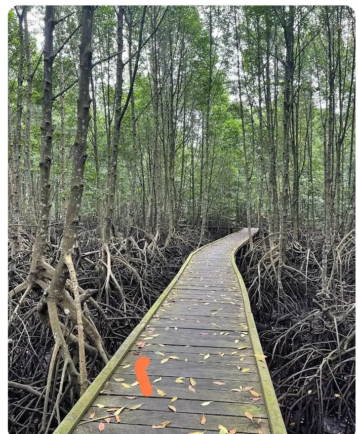 5F3X+376 Mangrove Bontang, Bontang Baru, Kec. Bontang Utara, Kota Bontang, Kalimantan Timur 75313, Indonesia