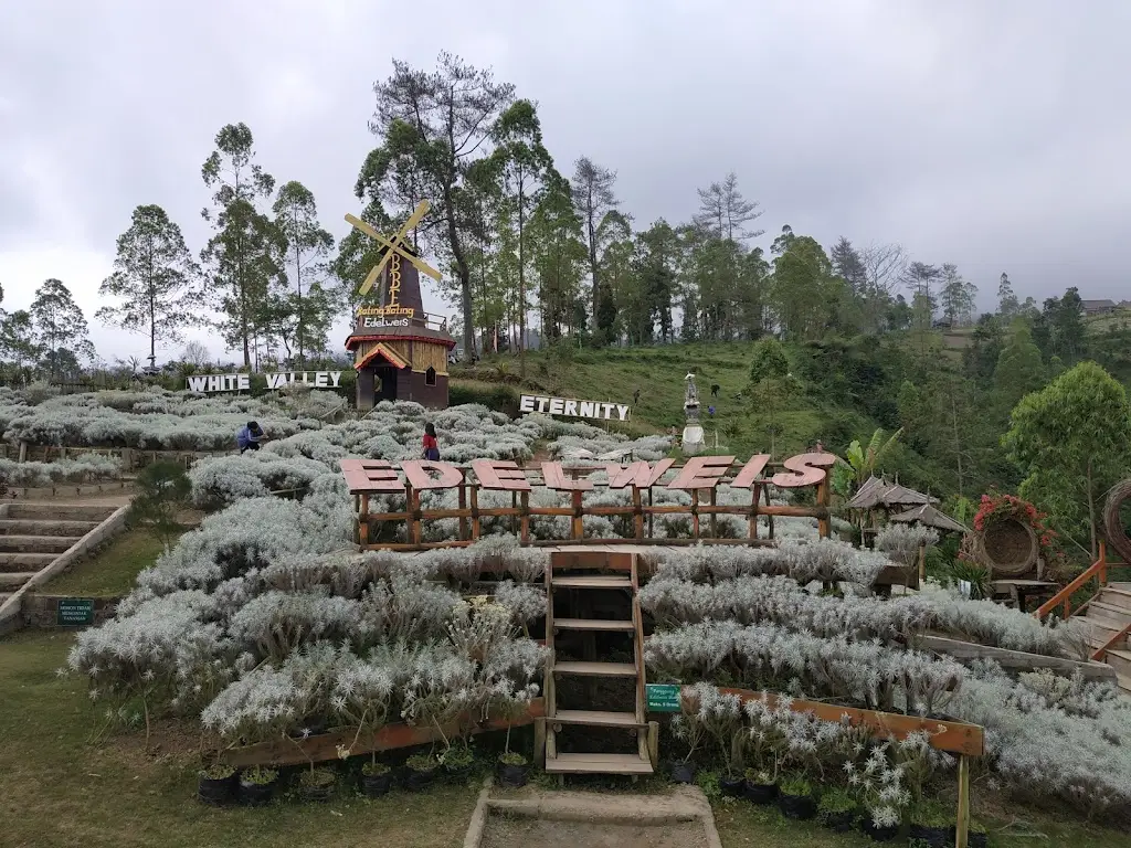 Taman Edelweis Bali, Besakih, Banjar Temukus, Kabupaten Karangasem, Bali 80863, Indonesia