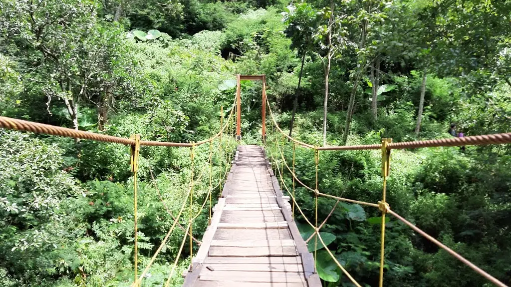 Taman Hutan Raya Ir. H. Djuanda, Kompleks Tahura, Jl. Ir. H. Juanda No.99, Ciburial, Kec. Cimenyan, Kabupaten Bandung, Jawa Barat 40198, Indonesia