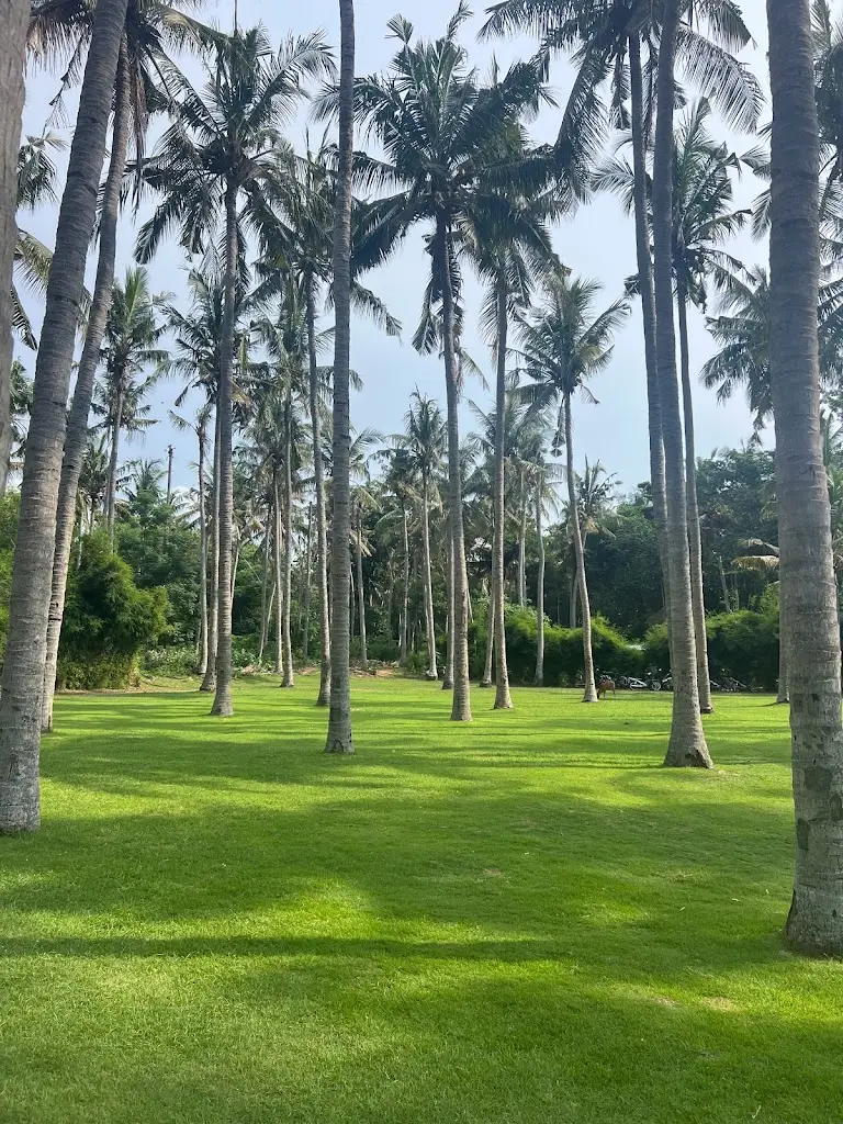 Wisata di Bali