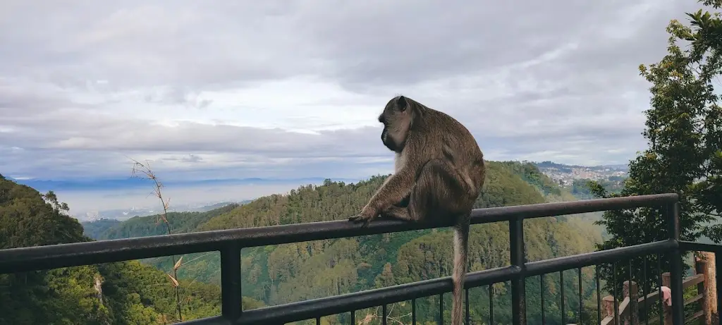 Wisata di Jawa Barat